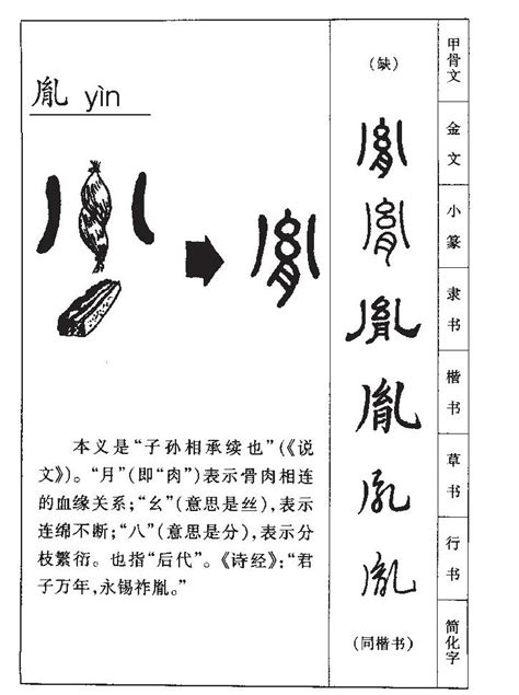 胤五行 車號吉數